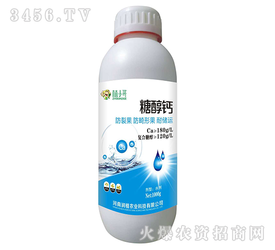 �Ǵ��}-��ֲ