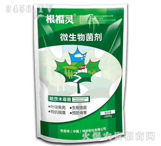 ΢�������-�����`-�����