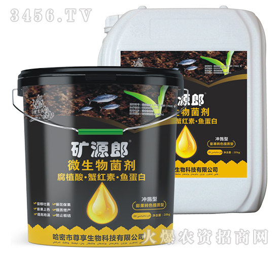 ��ֲ�ᡤз�t�ء��~����΢�������-�VԴ��-��������