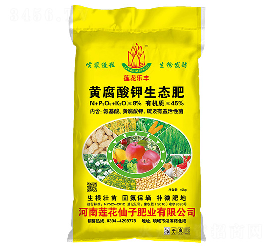 �S��������B(t��i)��-ɏ�����S-ɏ������