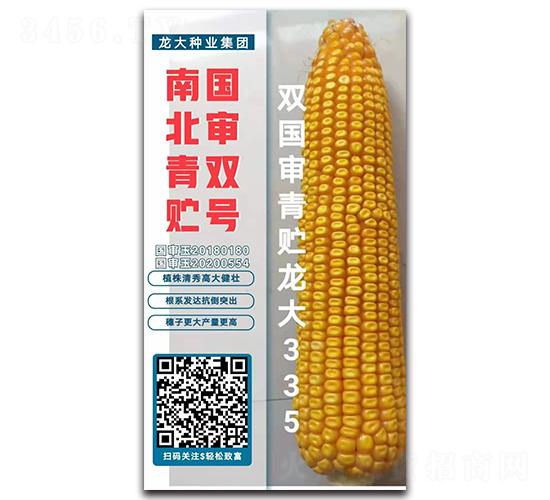 �p��(gu��)�����A����335-���׷N��-����N�I(y��)