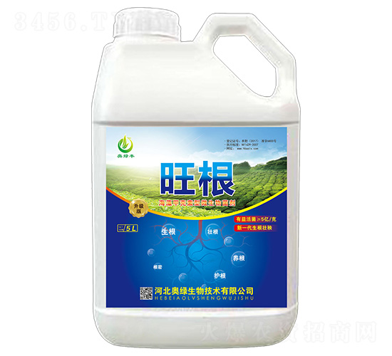 �������ͷ���-����-�W�G����