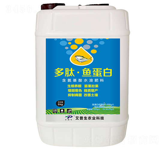 ���ġ��~����-������