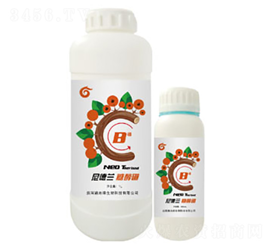 �Ǵ���-����m-��ؾG