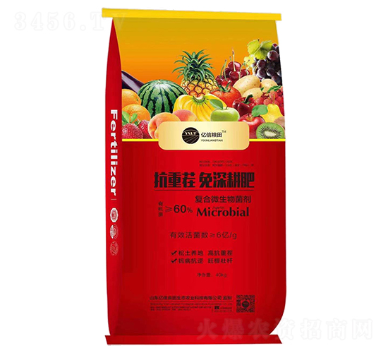 ���ز��������-�|�żZ��-�|������