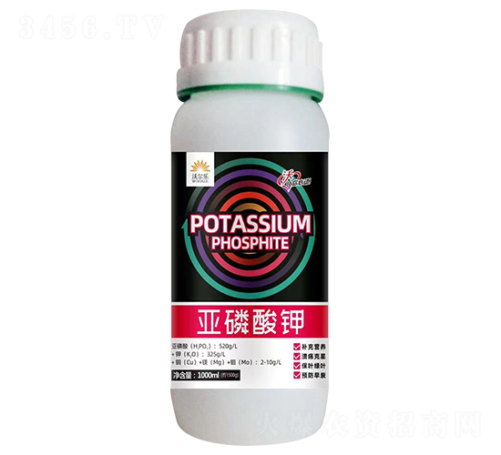 �������-�֠���