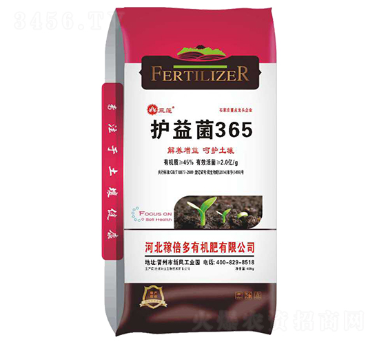 �o(h��)���365-��ɏ