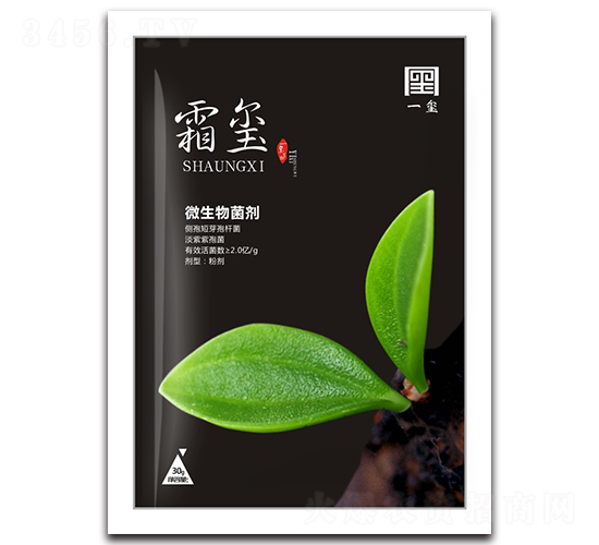 ΢�������-˪�t-һ�t