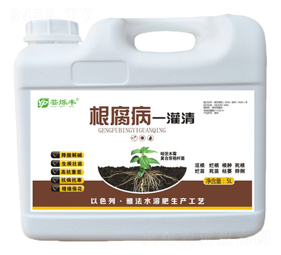 ������һ����-�|��(l��)�S