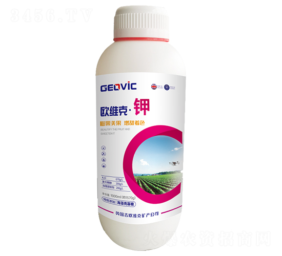 �W�S�ˡ��-�A�˱���