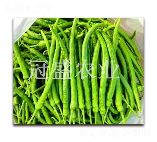 ����8̖-�����N��-��ʢ�r(n��ng)�I(y��)