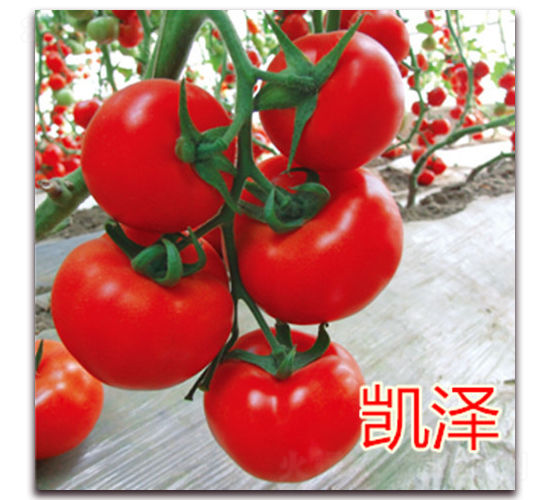 �P��-���ѷN��-��ʢ�r(n��ng)�I(y��)