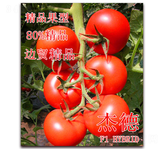 �ܵ�-���ѷN��-��ʢ�r(n��ng)�I(y��)