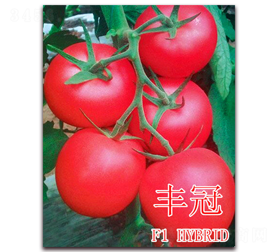 �S��-���ѷN��-��ʢ�r(n��ng)�I(y��)