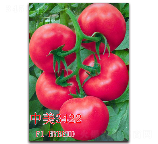 ����3422-���ѷN��-��ʢ�r(n��ng)�I(y��)