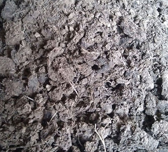 ��Ȼ�����u�S-���|�ʘI(y��)