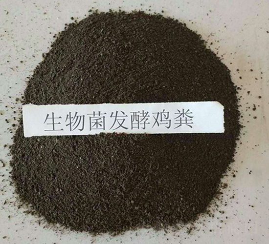 ������l(f��)���u�S-���|�ʘI(y��)