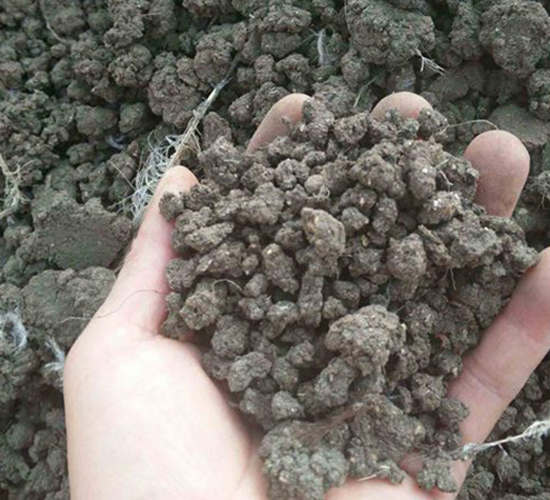 �l(f��)���u�S�ЙC����-���|�ʘI(y��)