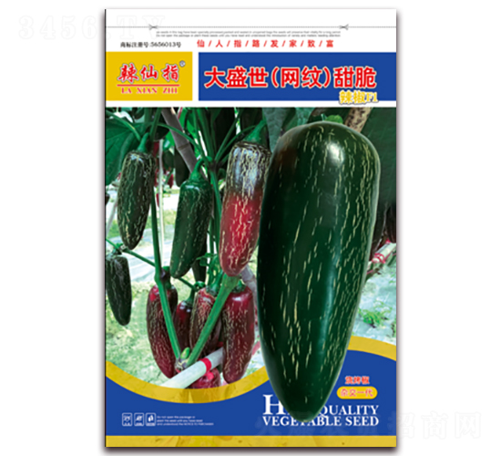 ��ʢ�����W(w��ng)�y�����-�����N��-�A�~