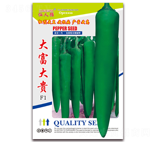 �󸻴��F-�����N��-�A�~