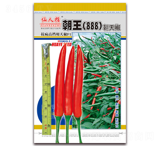 ����888-�����N��-�A�~