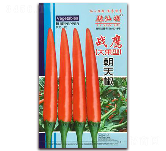 ��(zh��n)��-�����N��-�A�~