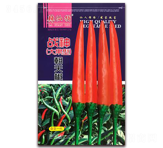 ��(zh��n)��-�����N��-�A�~