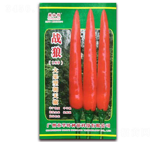 ��(zh��n)��-�����N��-�A�~