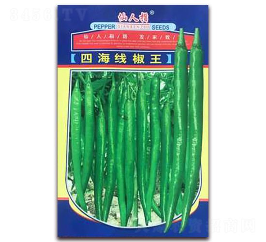 �ĺ�������-�����N��-�A�~