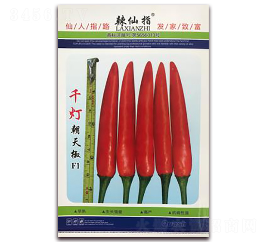 ǧ��-�����N��-�A�~