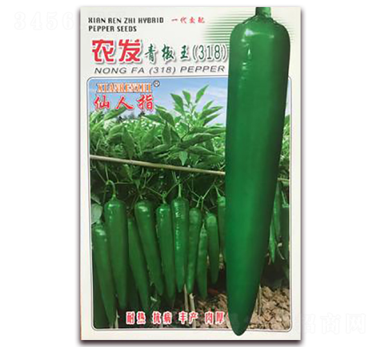 �r(n��ng)�l(f��)-�����N��-�A�~