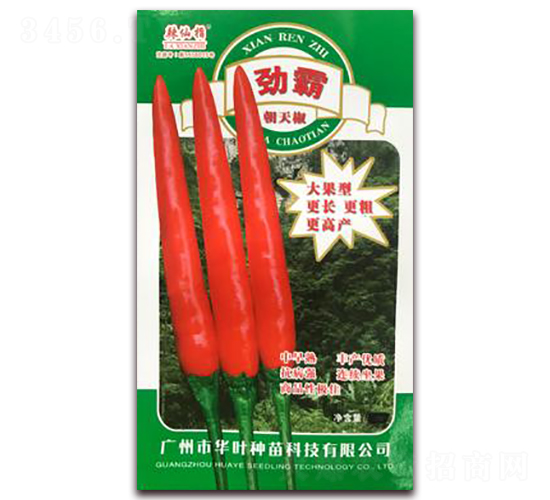 �Ű�-�����N��-�A�~