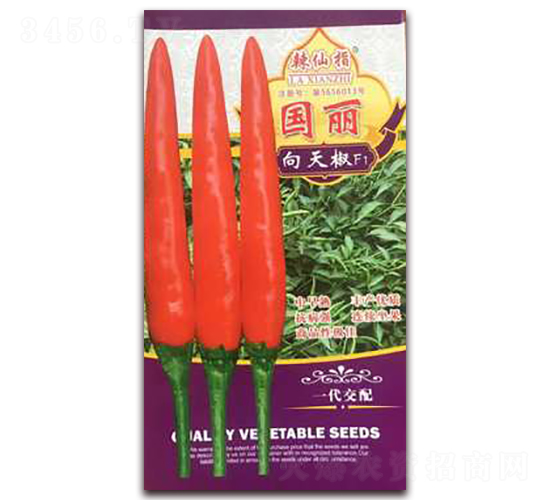 ����-�����N��-�A�~