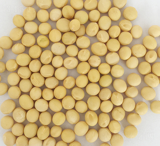 �F�S29̖-�󶹷N��-�|��