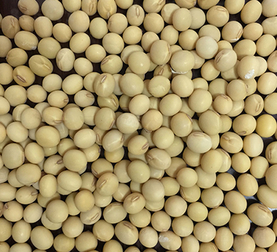 �|��339-�󶹷N��-�|��