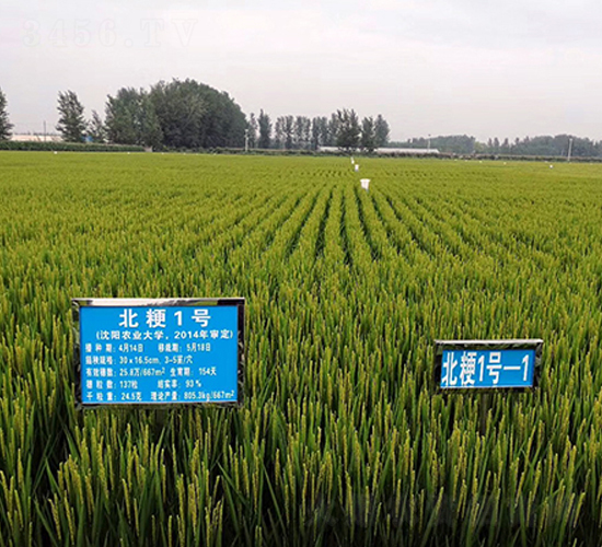 ����1̖(h��o)ˮ���N��-�|��