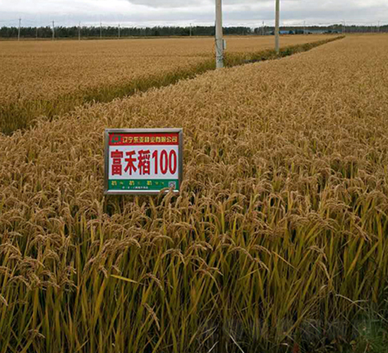 ����100-ˮ���N��-�|��