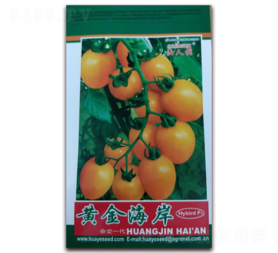 �S�𺣰�-���ѷN��-�A�~