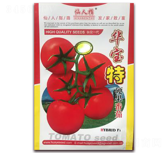 �A����Ӳ������-���ѷN��-�A�~