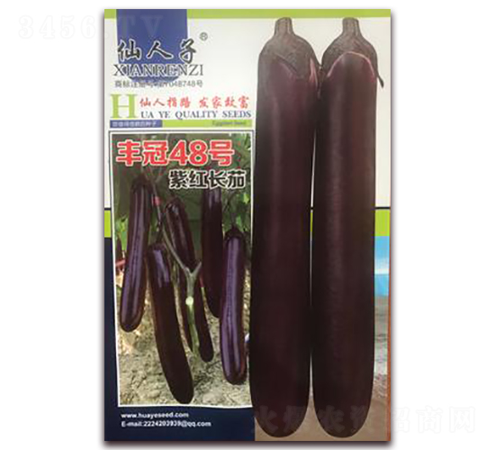 �S��48̖-���ӷN��-�A�~