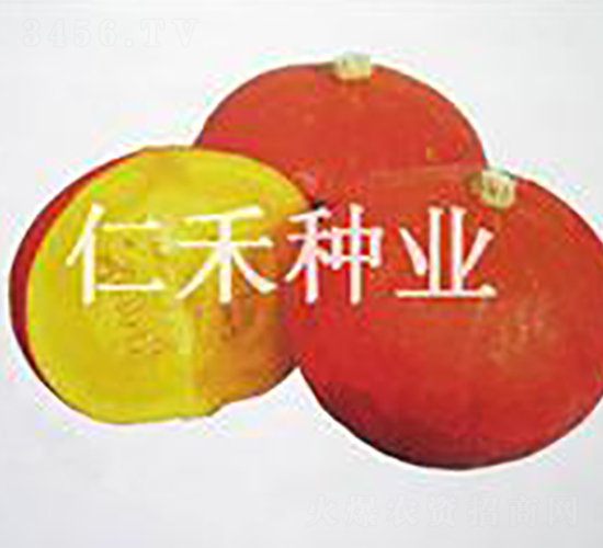 �t���|���������Ϲϣ�-�ϹϷN��-�ʺ̷N�I(y��)