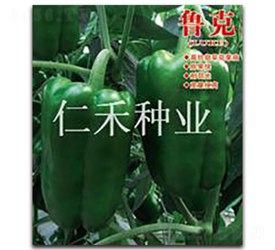 ���ˣ�LUKE��-�𽷷N��-�ʺ̷N�I(y��)