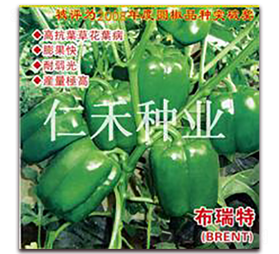 �����أ�BRENT��-�𽷷N��-�ʺ̷N�I(y��)