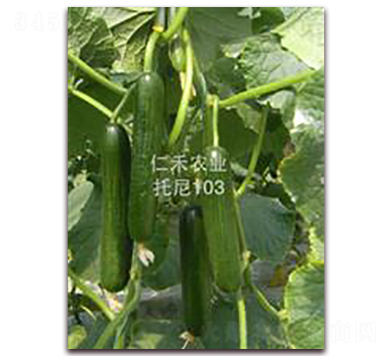 ����103���߿�������-�S�ϷN��-�ʺ̷N�I(y��)