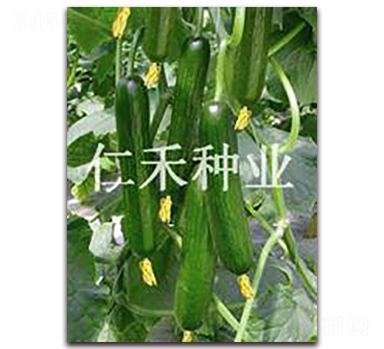 ����102-�S�ϷN��-�ʺ̷N�I(y��)