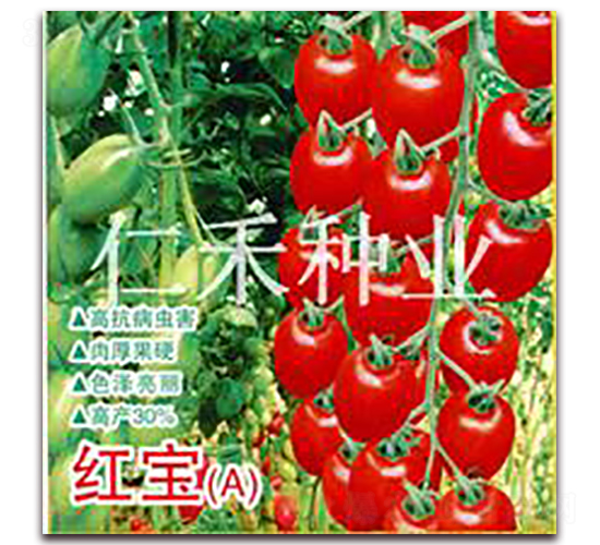 �t����A��-���ҷ��ѷN��-�ʺ̷N�I(y��)