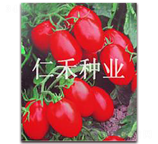 �t����B��-���ҷ��ѷN��-�ʺ̷N�I(y��)