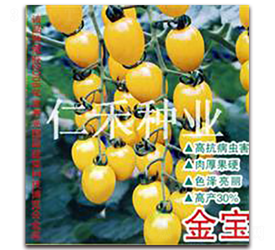 ����-���ҷ��ѷN��-�ʺ̷N�I(y��)