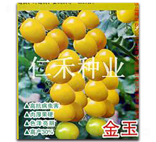 ����-���ҷ��ѷN��-�ʺ̷N�I(y��)