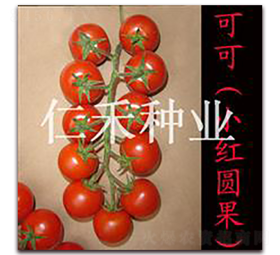 �ɿɣ�С�t�A����-���ҷ��ѷN��-�ʺ̷N�I(y��)